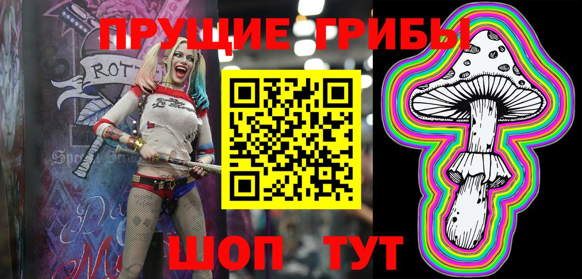 Псилоцибиновые грибы мицелий Новошахтинск