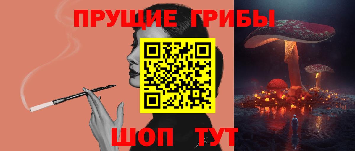 где купить наркоту  Вход с VPN  Новошахтинск  Псилоцибиновые грибы Psilocybine cubensis 